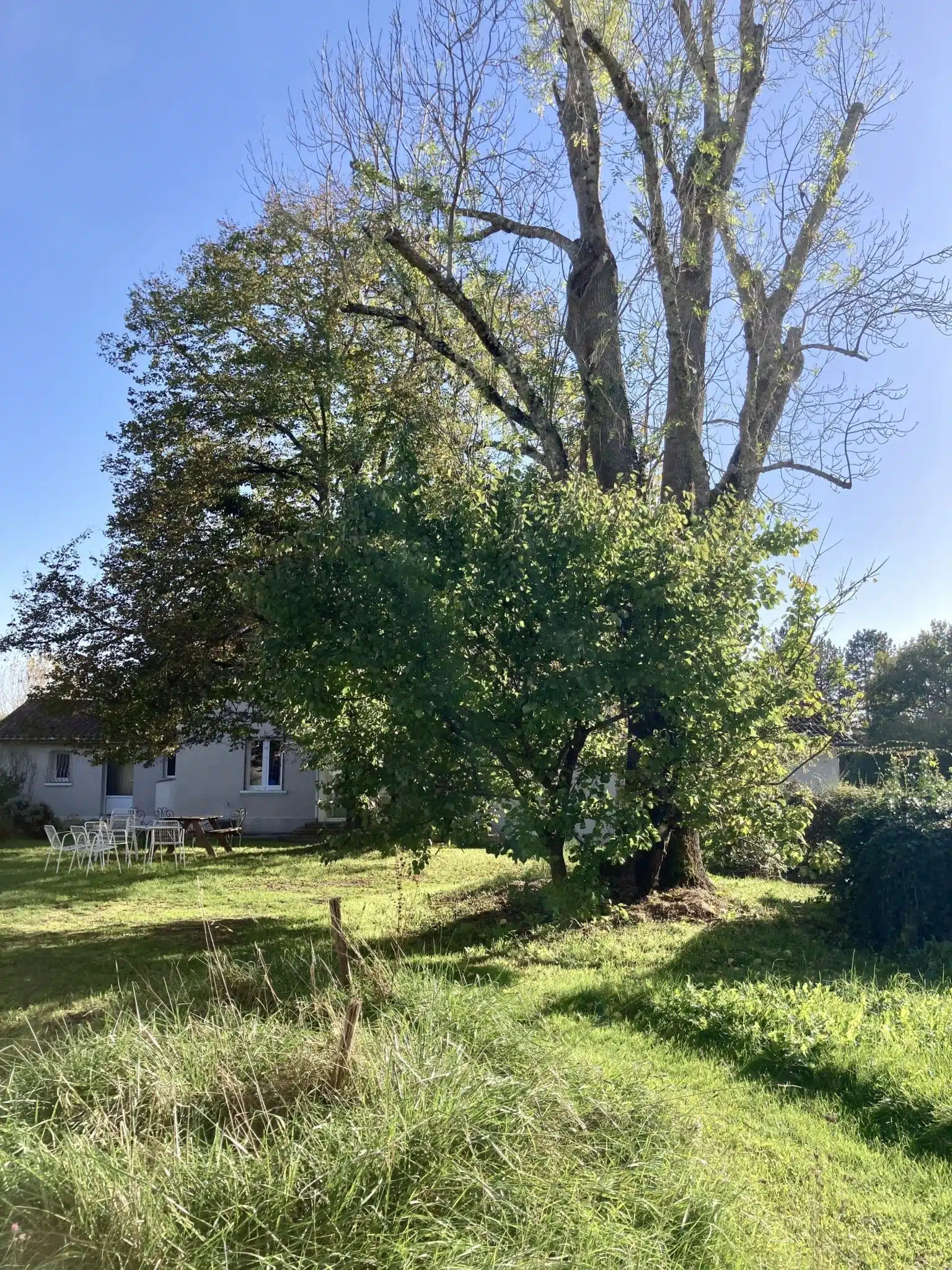 Retraite de Yoga Rayonner l'Énergie, éveiller la Conscience, dans le Périgord en juillet 2026 – Image 5