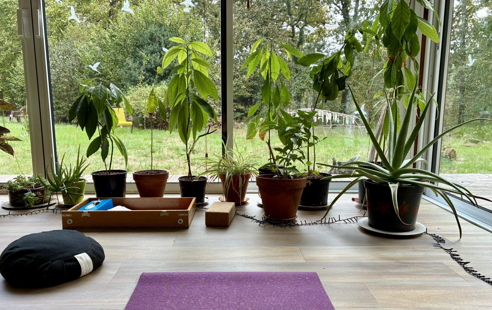 Renaître ! Retraite Yoga & Nature – Image 12