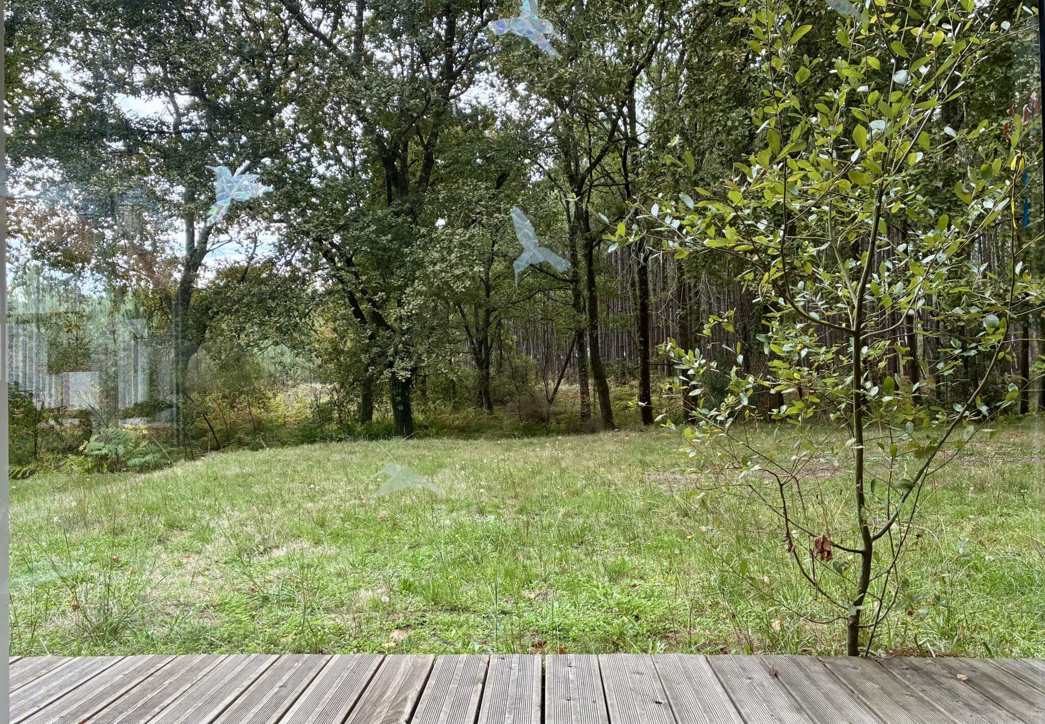 Renaître ! Retraite Yoga & Nature – Image 11
